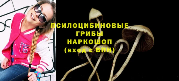 mix Абаза