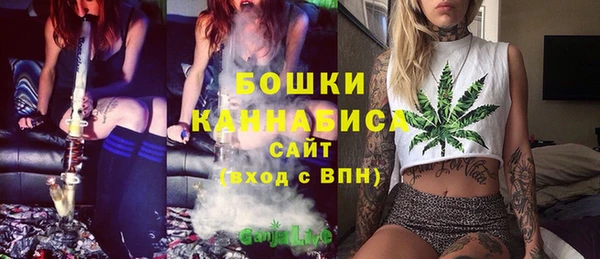 apvp Пестово